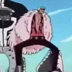 htrmolo avatar