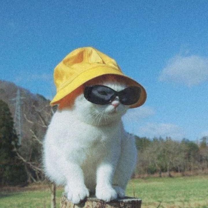 Pangbu_