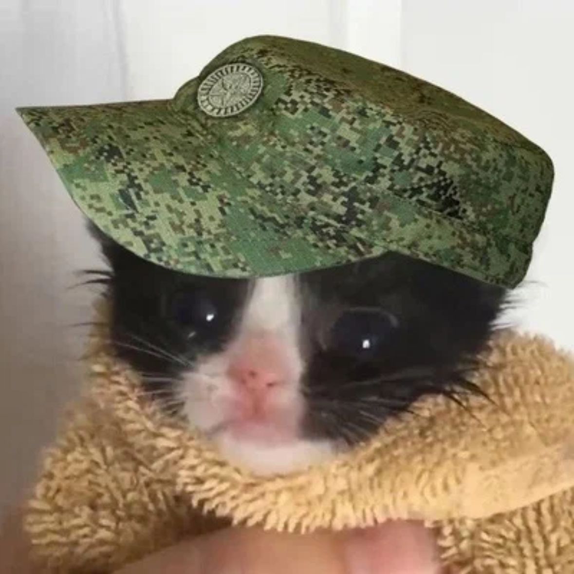 Borissssix