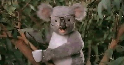 Koala111