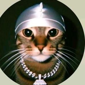 Raccouger avatar