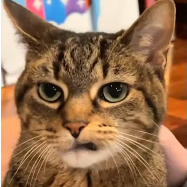 oyyner avatar