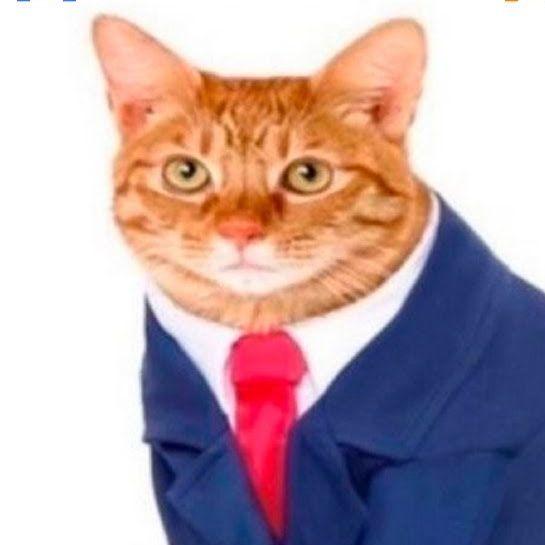 ShevninCUM avatar