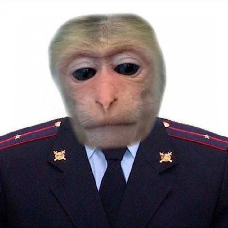 scallyEMA