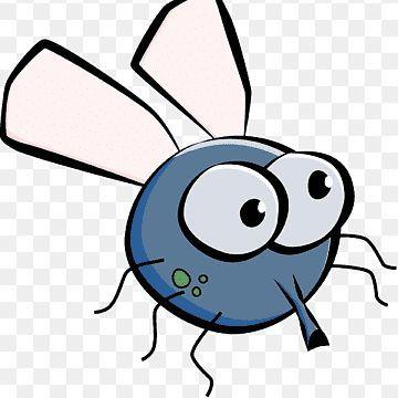 Mosquito