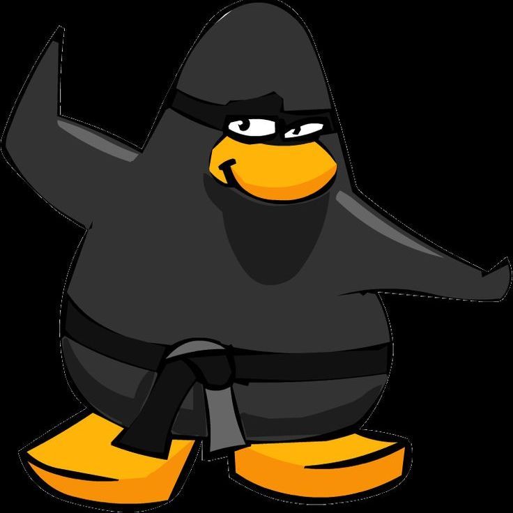 shaggybuggi