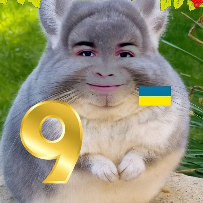 sonq1ss
