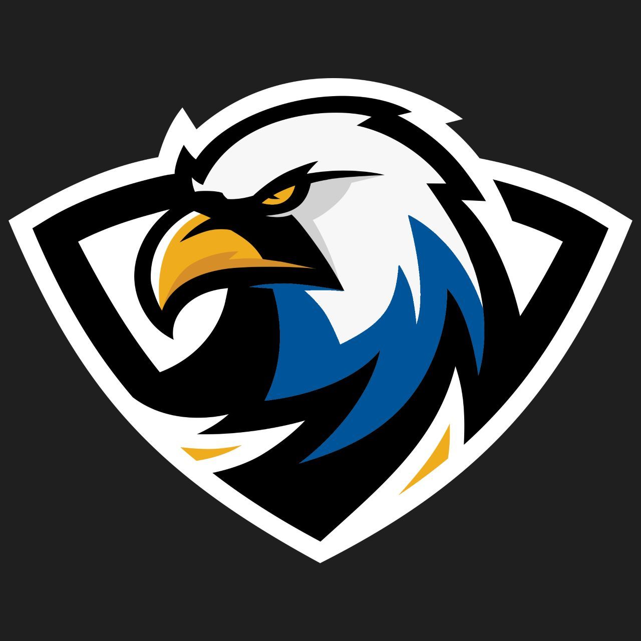 ERAU Esports