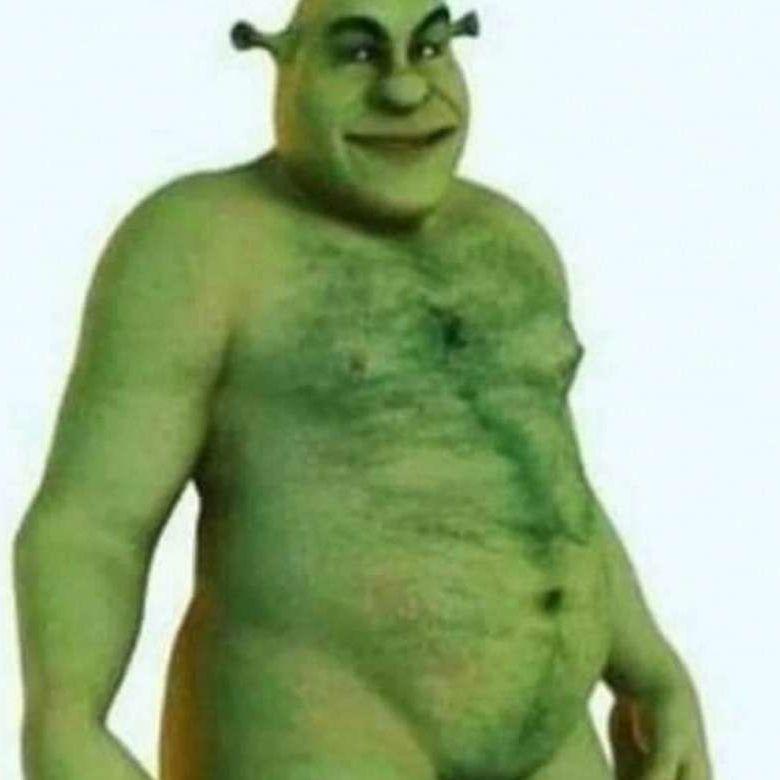 BogusWysypka avatar