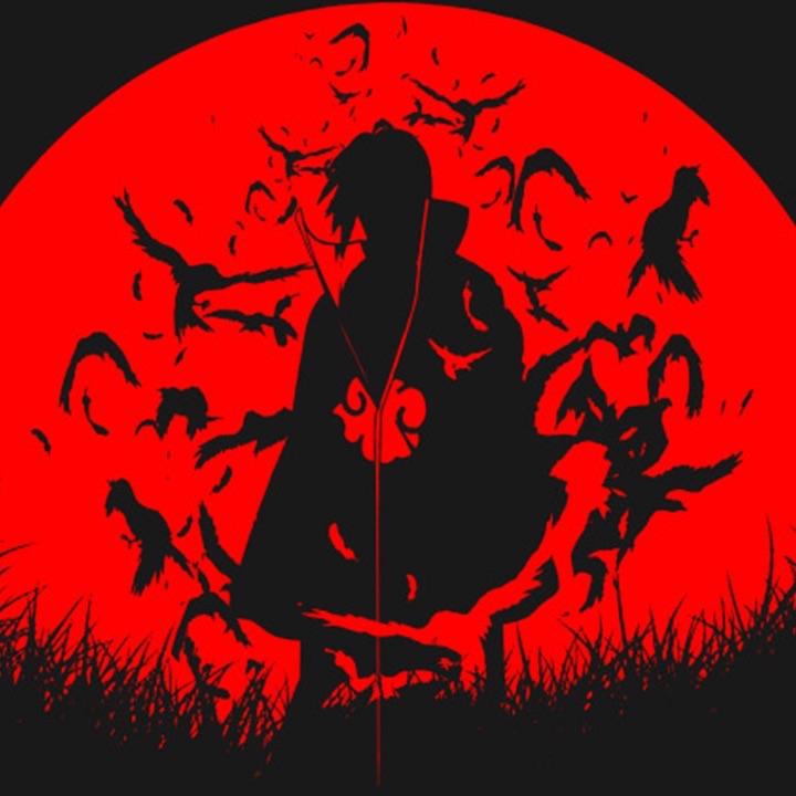 VANilkz avatar