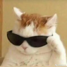AbuAsaad avatar
