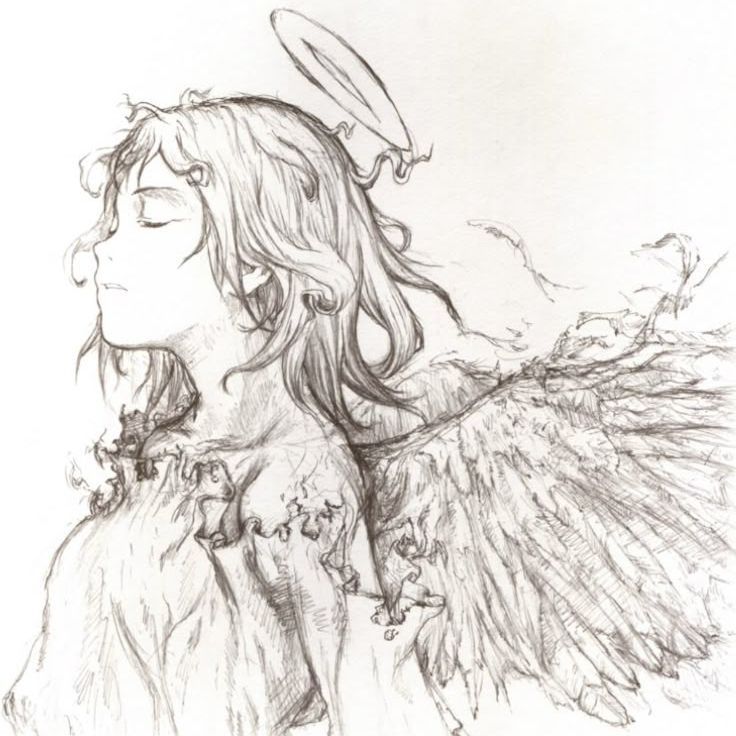 gitaxmita avatar