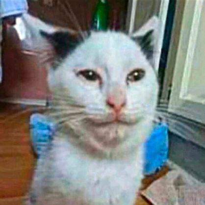 PuFFoN