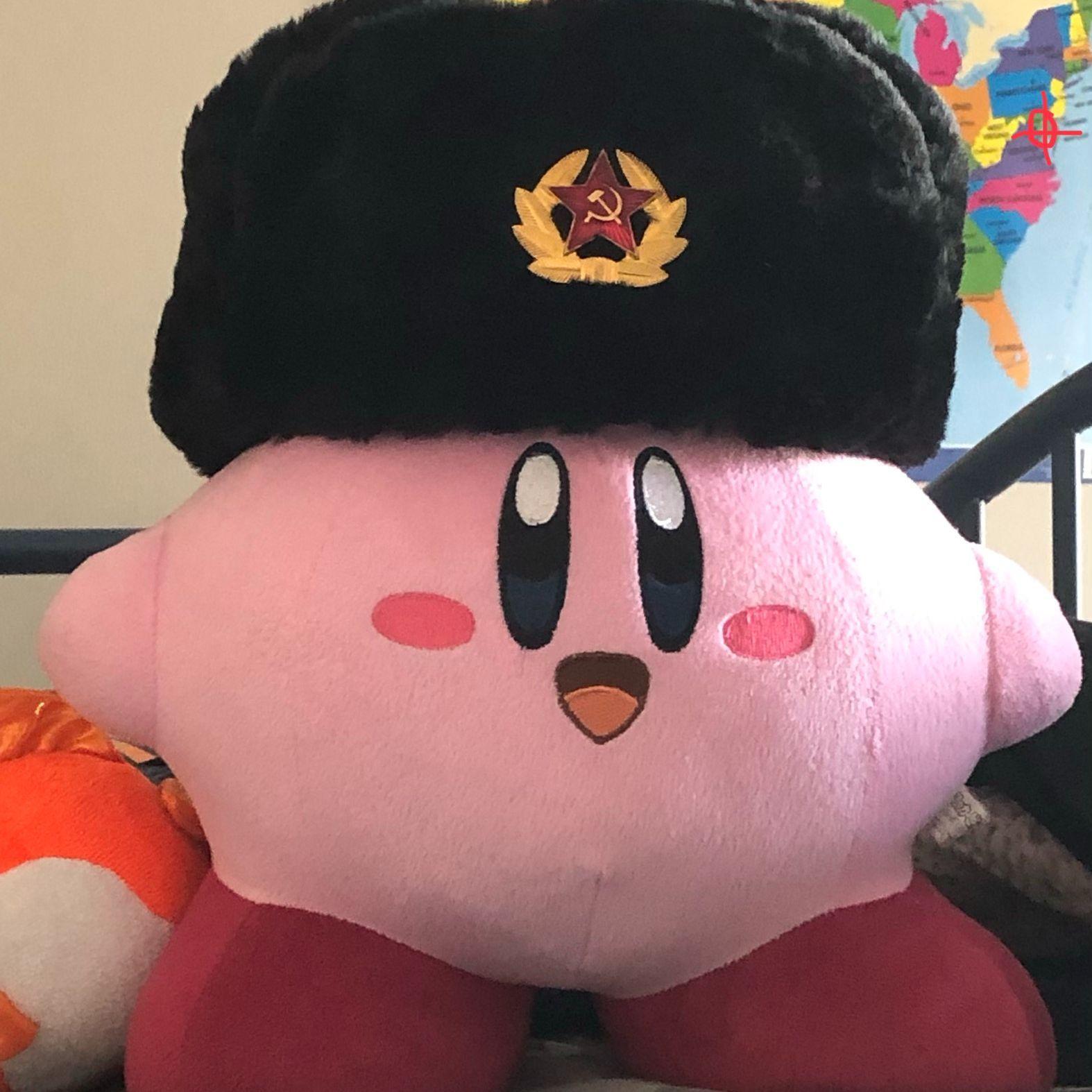 Kirby steam profile фото 7