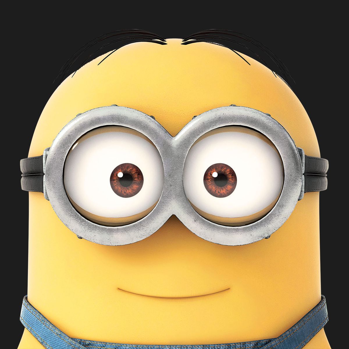 DlIVS