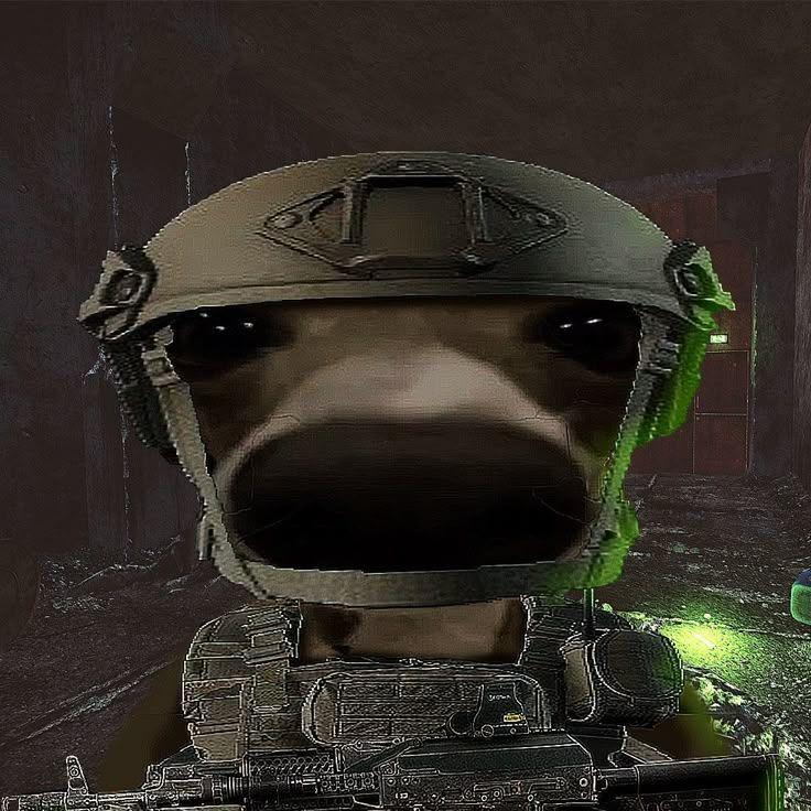 dobden avatar