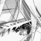 aetheriis