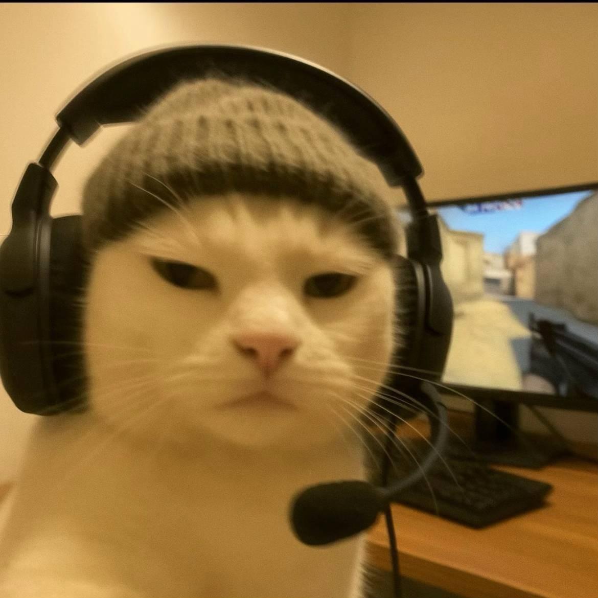 nihao888 avatar