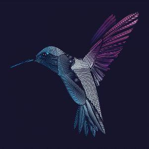 Kolllibri avatar