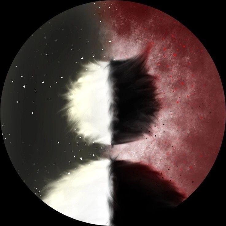wiXo avatar