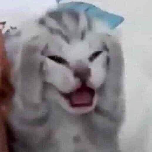 Mendzerra avatar