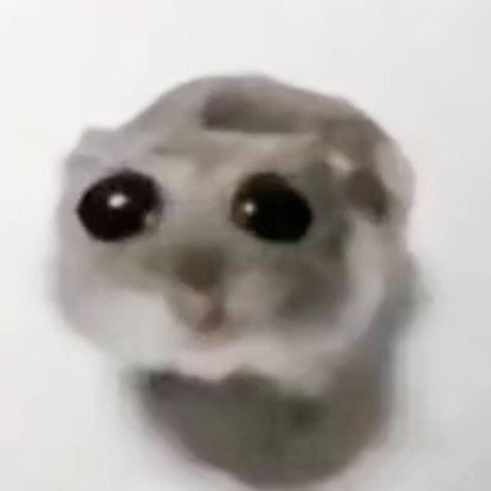 mef1n avatar