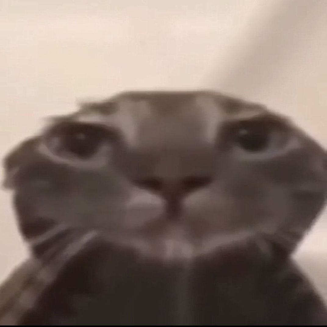 qvonbtww