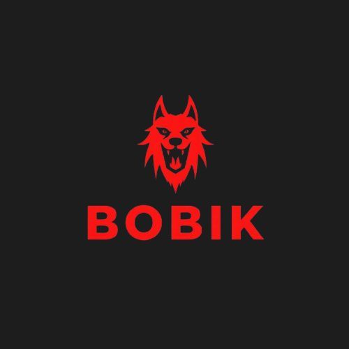 Bobik Team