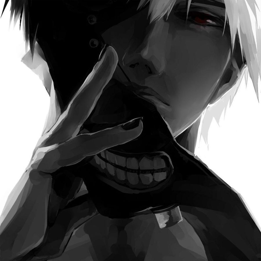 -nasex-