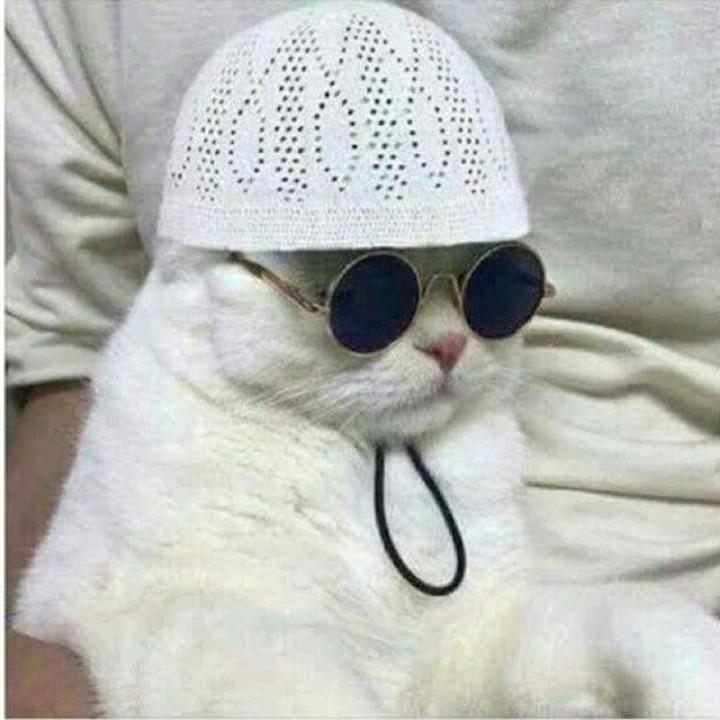 Hannsz avatar