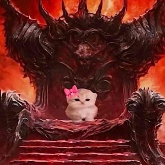 fgrdcxebhv