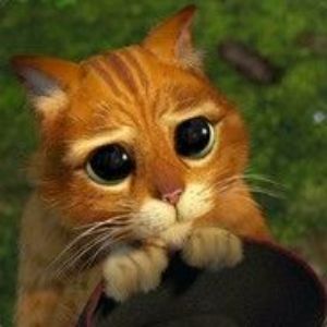 mr_S_V_D_qq