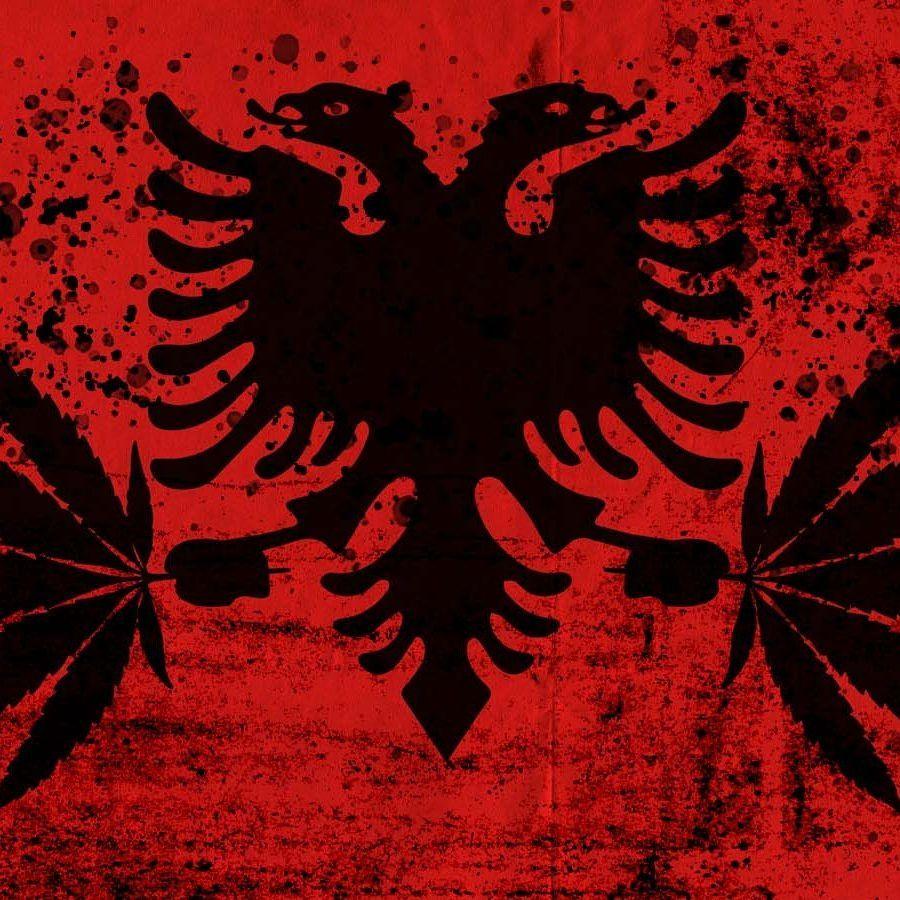 kyqjaemirr avatar
