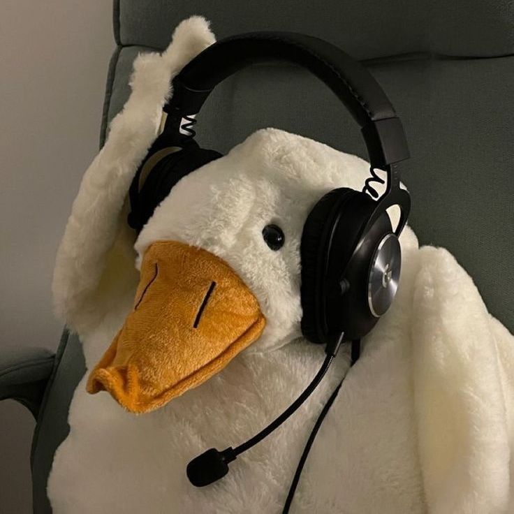 dUCKl-_-l