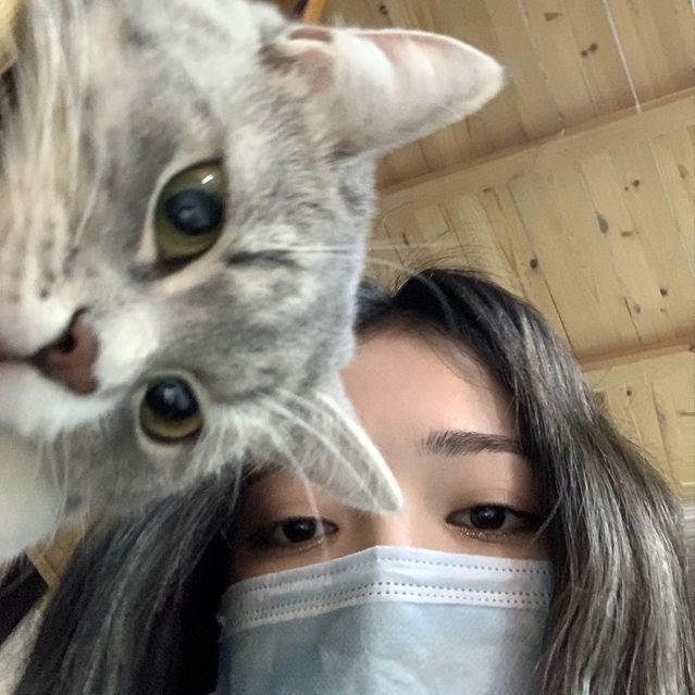 arisuta