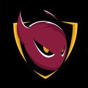 ASU D1 CSGO