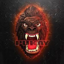 PuKaY123