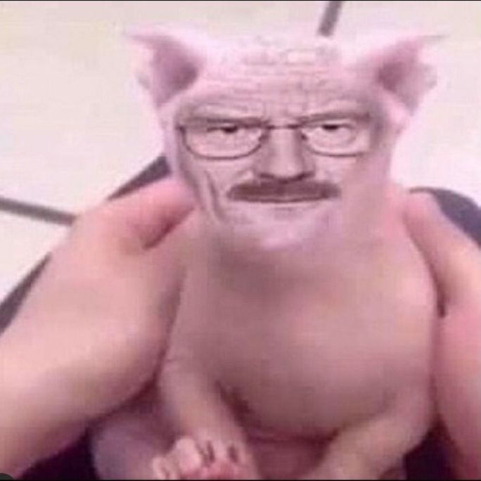 _Evvanz_