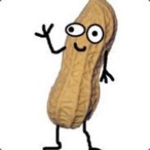 peanut2 avatar