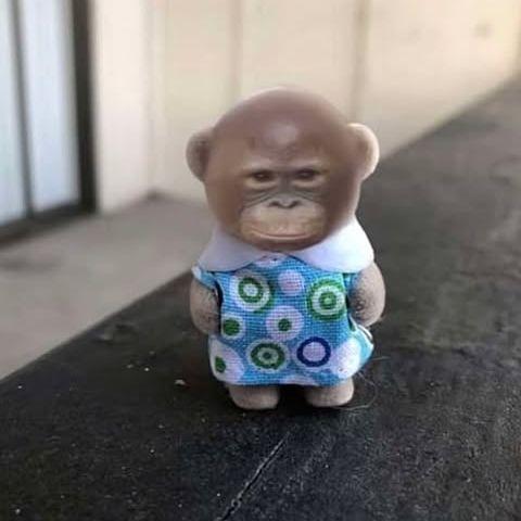 wpychol avatar
