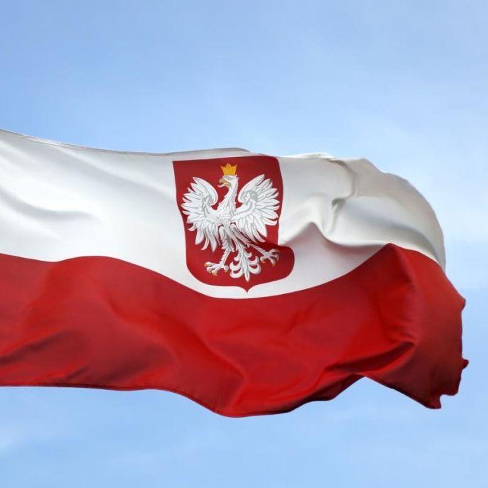 IMNOTPOLAND avatar