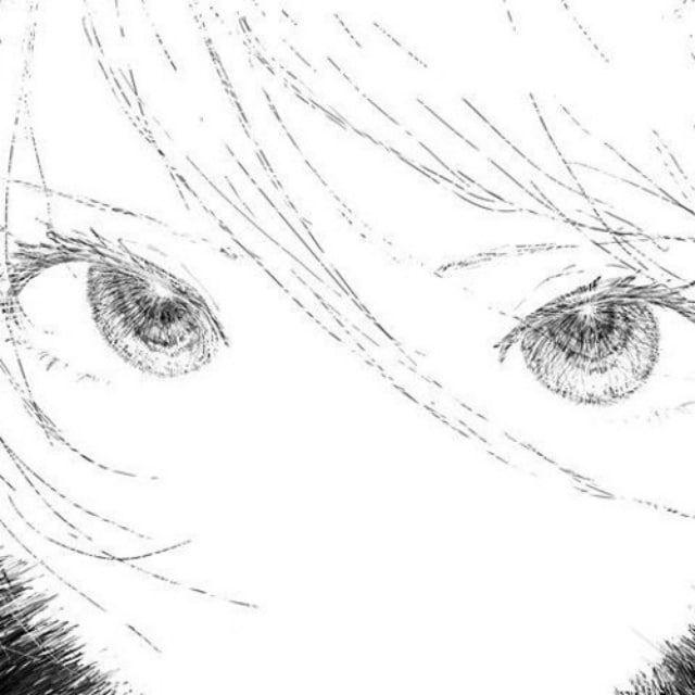 tkqv avatar