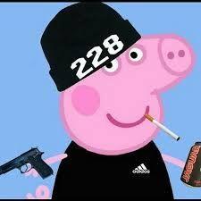 Jaman228