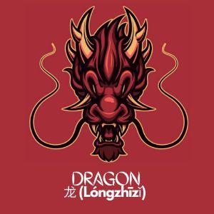 LongZhizi avatar