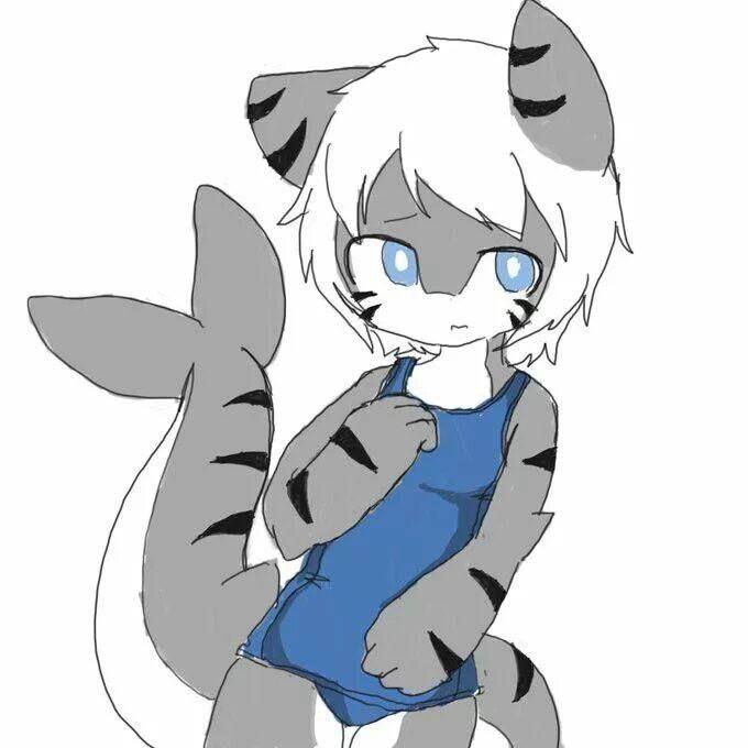 TigerShark5 avatar