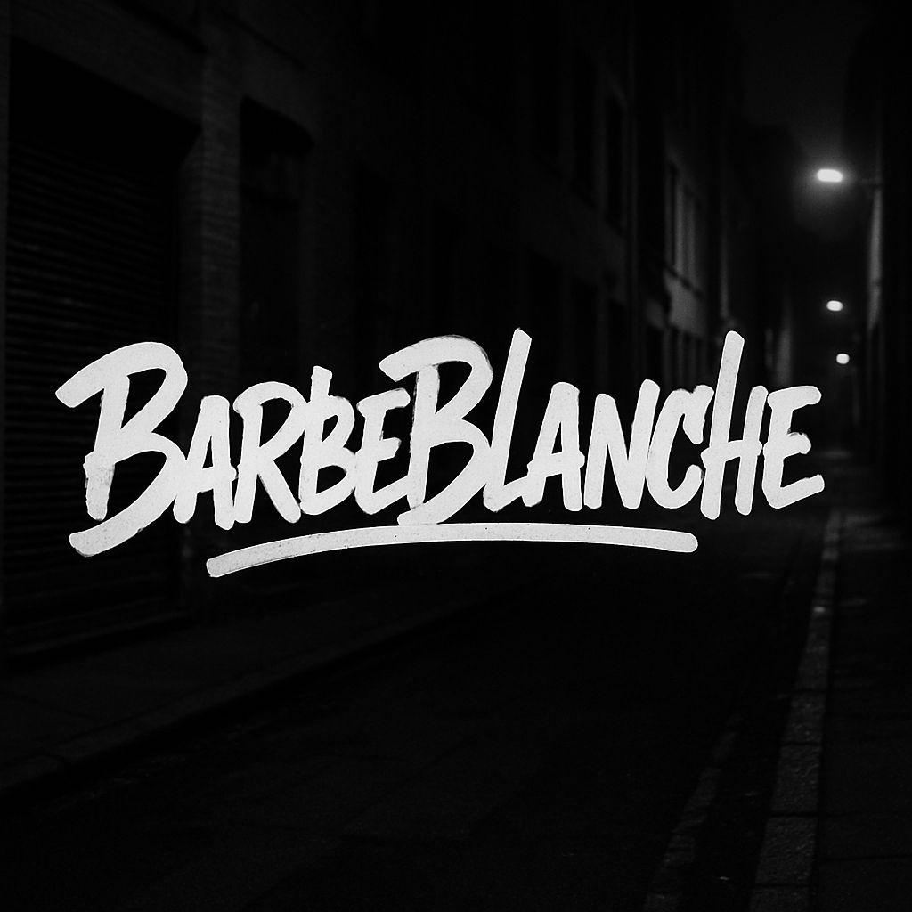 BarbeCS avatar
