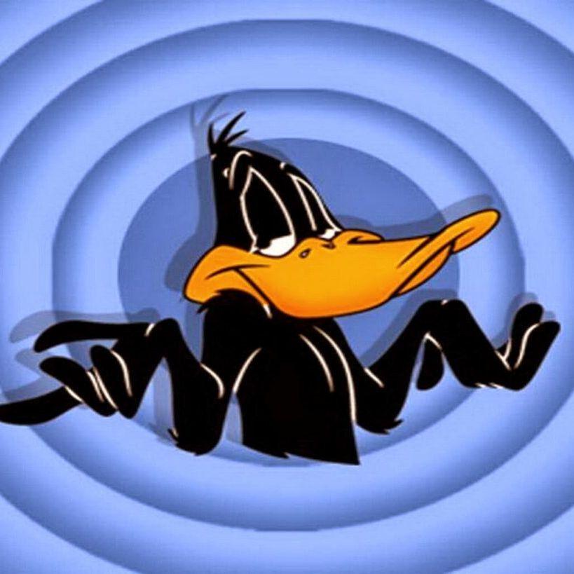 koDaBOG avatar