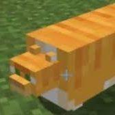 Nyoooom avatar
