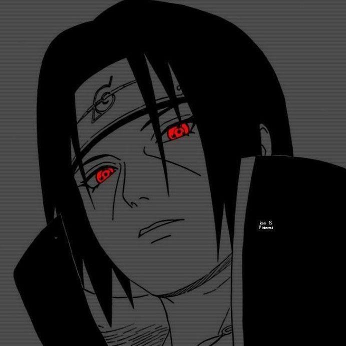 MusdenChow avatar
