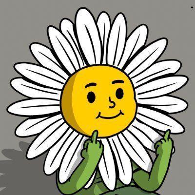 Vitkonuk avatar